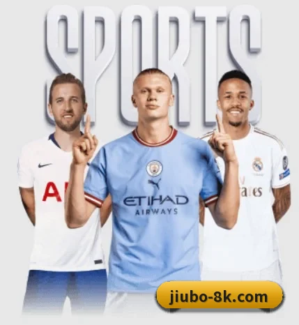 本站五个常用功能入口,赛程查询路径更短 | 9bosports